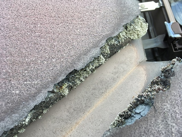 パミール修理も承ってます